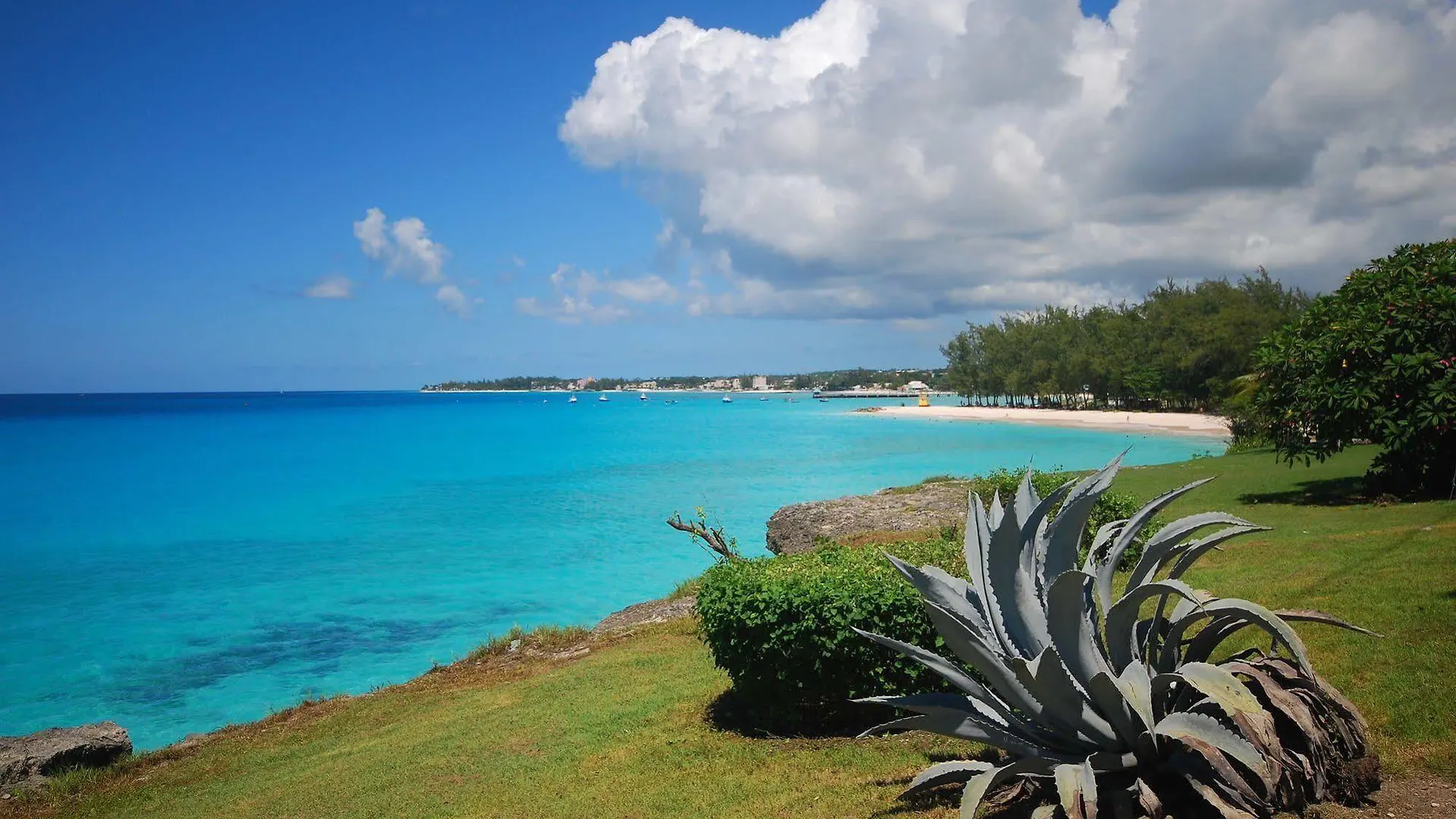 ****  Little Arches Boutique Hotel - Adults Only Oistins Barbados
